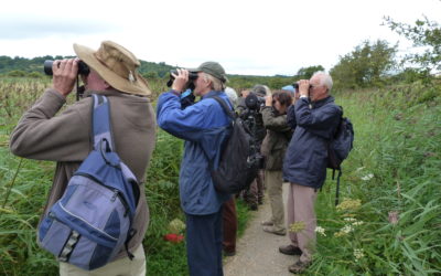 Field Trip to Arnside/Silverdale AONB July29th 2014