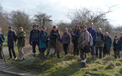 Field Meeting Brimham/Sawley High Moor 25th February 2014