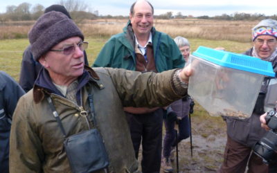 Field meeting at Staveley YWT Reserve 14th January 2014