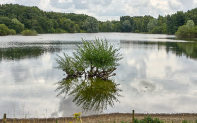 Members’ morning at Farnham Gravel Pit