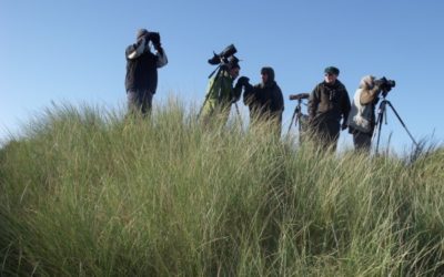 Field trip to Druridge Bay 12th November 2013