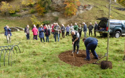 Ian Wallace Tree Planting