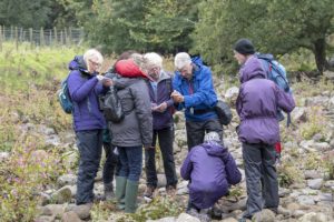 Moss group in the Nidd _DSC0159 web