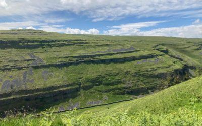 Cowside Gill and Kilnsey Park