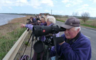 Upper Humber Birding Odyssey 30th April 2013