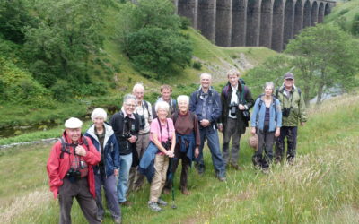 Smardale Gill NNR Butterfly Visit 01 August 2012