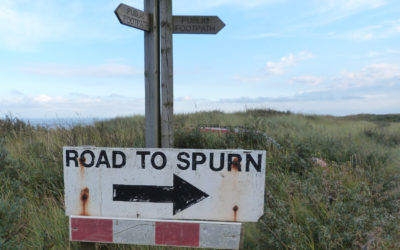 Spurn Field Trip October 13th 2012