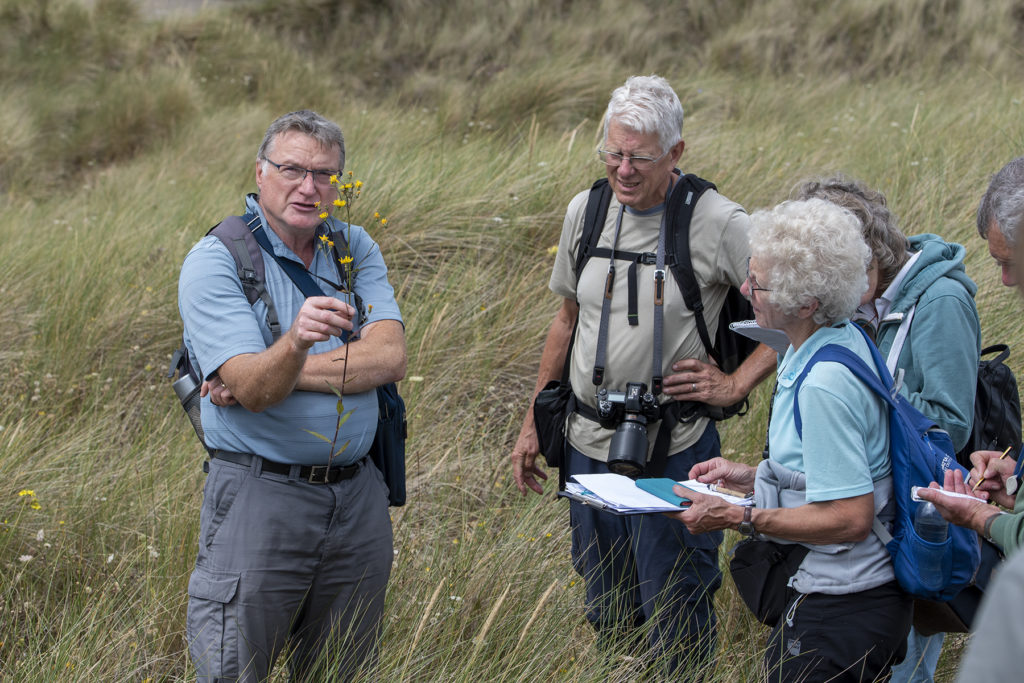 David Barlow showing us one of the many Hawkweeds