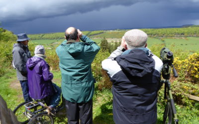 Wykeham Raptor Viewpoint and Filey Brigg – May 19th 2015